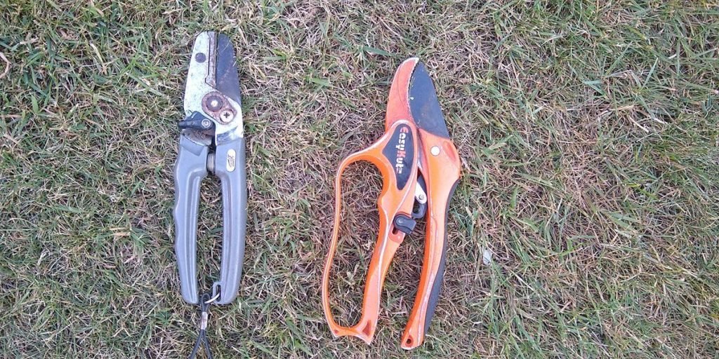 Anvil Vs ByPass Secateurs and Loppers – Why you Should Care 1