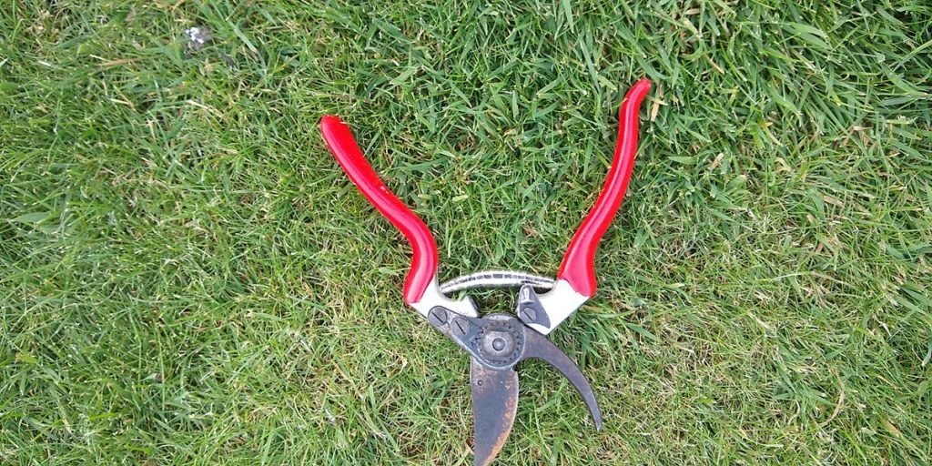 Anvil Vs ByPass Secateurs and Loppers – Why you Should Care 3