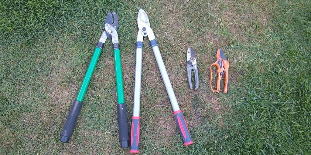 2 bypass cut loppers with 2 anvil cut secateurs. Anvil Vs ByPass Secateurs and Loppers – Why you Should Care