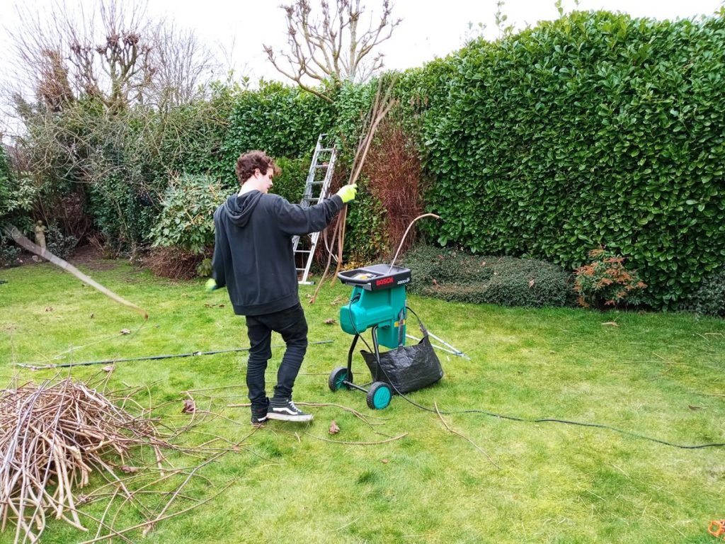 12 year old Bosch Shredder shredding maple cuttings