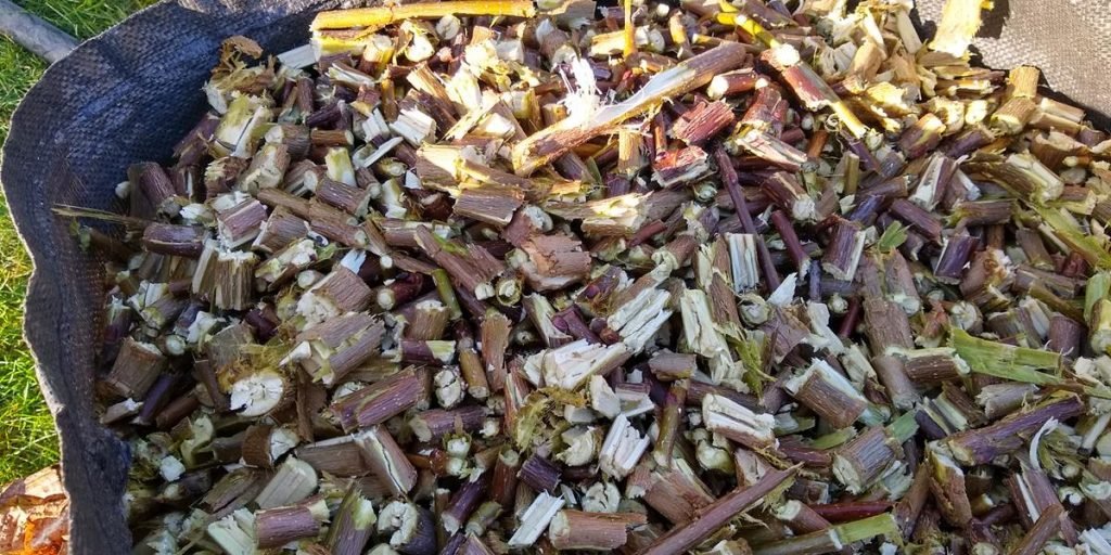 Chippings from a Quiet, Crusher Shredder