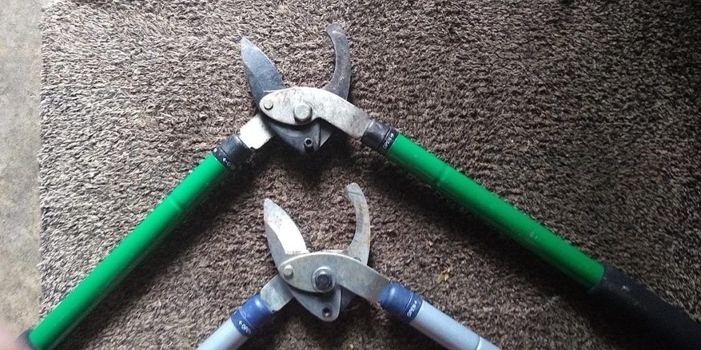 2 bypass lopper cutters. Trying to answer - What Are The Best Tree Loppers