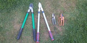 loppers and secateurs